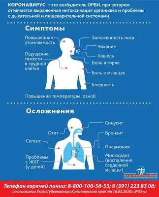 Коронавирус в Литве: 251 новый случай коронавируса, летальных исходов нет -  Delfi RU