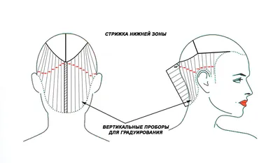 Стильная короткая стрижка с короткой челкой