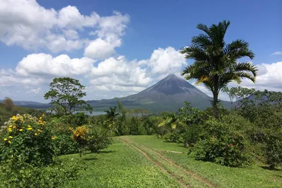 https://carter.eu/ru/kierunki/ameryka-srodkowa/kostaryka/w-costa-rica/