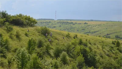 Костенки. Дорога