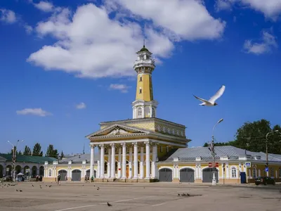 Что посмотреть в Костроме с детьми: достопримечательности города, куда  интересно сходить всей семьей — Яндекс Путешествия