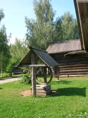 Кострома Музей деревянного зодчества Притыкино Часовня Фотография