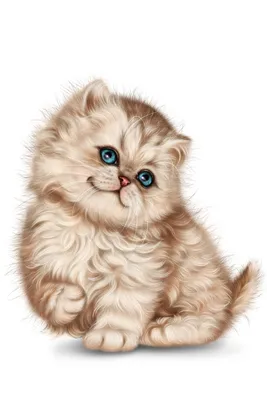 Lovely cats. Милые котики. PNG. | Иллюстрации кот, Милые детеныши животных,  Милые котики