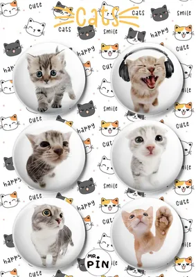 Значки котики - купить с доставкой по выгодным ценам в интернет-магазине  OZON (1129297764)