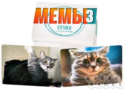 Наклейки котики Мемы стикеры 10шт (ID#1908456087), цена: 88.33 ₴, купить на  Prom.ua