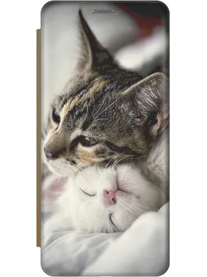 Фотообои Милые котики на стену. Купить фотообои Милые котики в  интернет-магазине WallArt