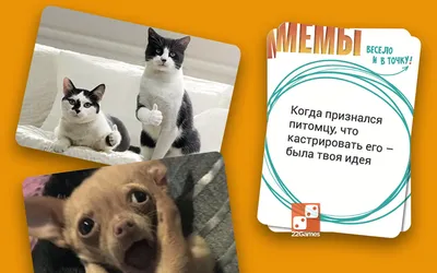 Милі котики