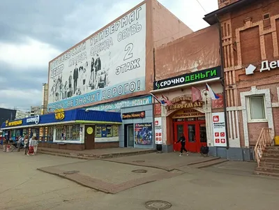 Нижегородские зоозащитники пытаются спасти кота, которого проткнули палкой  - 8 ноября 2023 - nn.ru