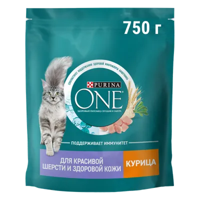 Купить Сухой корм Purina ONE® для кошек для красивой шерсти и контроля  образования волосяных комков с курицей и цельными злаками, Пакет, 750 г  -официальный интернет-магазин Purina