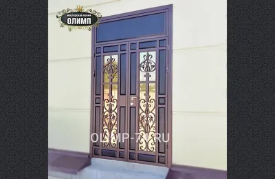 Кованые металлические двери купить в СПб