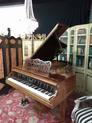 Rare and beautiful PLEYEL grand piano | A440 Pianos