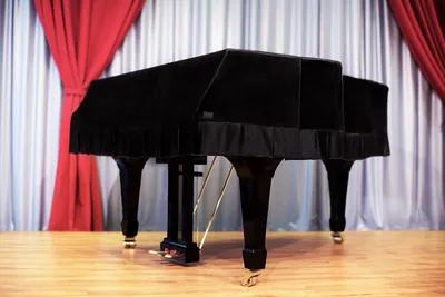 Yamaha | Steinway | All Brands] Premium Velvet Grand Piano Cover - Midnight  Black - Clairevoire