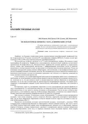 Сколько стоит лечение кошек, собак и енотов: 9 историй о дорогостоящей  медицинской помощи домашним животным