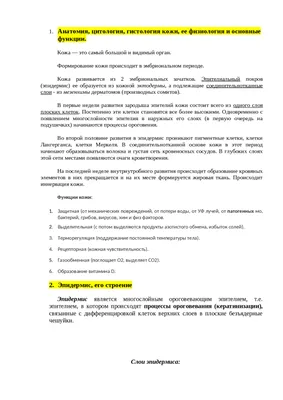 НАТАЛЬЯ ГОЛОМЫСОВА on Instagram: \"Эпителиотропная лимфома — это самая  частая кожная лимфома, диагностируемая у собак. Это злокачественная  опухоль, которая возникает из Т – лимфоцитов. Средний возраст возникновения  кожной эпителиотропной лимфомы — 10