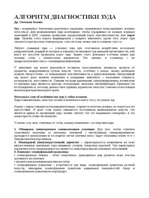 Её нельзя вылечить, но продлить жизнь питомца грамотной терапией можно и  нужно — Наталия Гришина на TenChat.ru