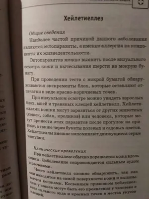 Лечение болезней у собак в Новосибирске: цены, отзывы и адреса