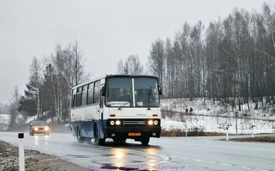 Купить недорого участок в местечке Козловы Горы в Костромском районе в  Костромской области — 159 объявлений о продаже участков на МирКвартир с  ценами и фото