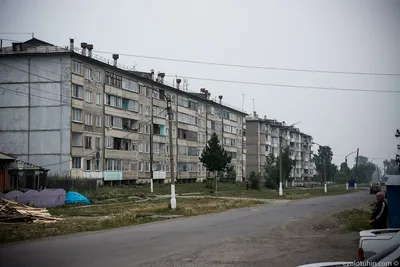 Козулька красноярский край фото фото