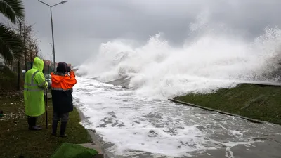 Нейросеть нарисовала образы российских туристов на курортах Краснодарского  края