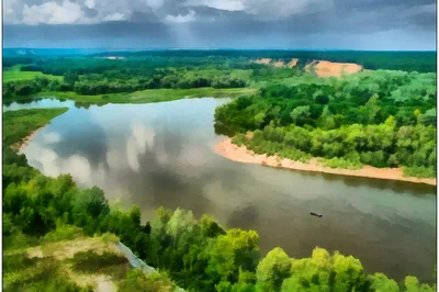 В Воронеже откроется выставка «Край Воронежский – край Петра I» | КУЛЬТУРА:  Искусство | КУЛЬТУРА | АиФ Воронеж