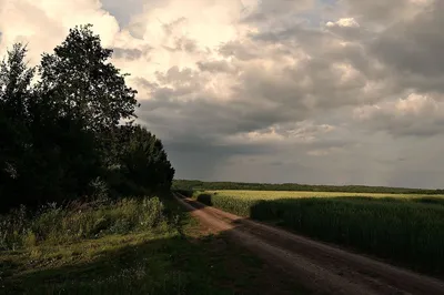 Край воронежский | Пикабу