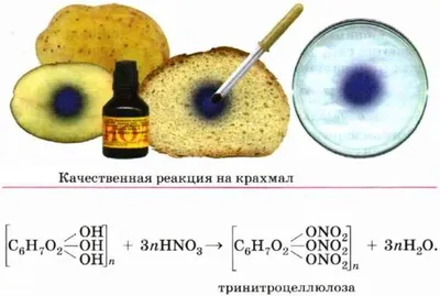 Вы против крахмала? А зря... | Худею от ума | Дзен