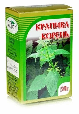 Крапива двудомная