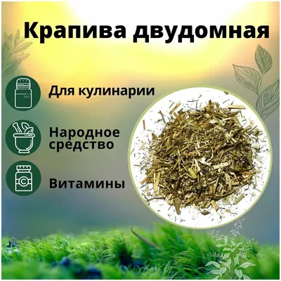 Крапива двудомная, листья 1,5гр*20 ф-п ЛекраСэт (Urtica dioica L.) |  Интернет-магазин \"Сила природы\"