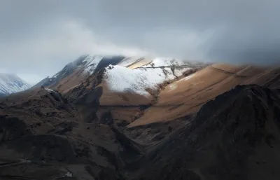 Красивые чеченские мужчины - 86 фото