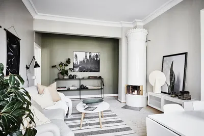 Крашеные стены – фото, идеи дизайна, примеры интерьеров и экстерьеров |  Houzz Россия