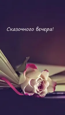 Уютного Вечера | TikTok