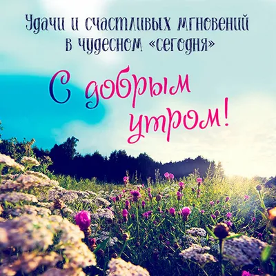 Доброе утро! ❤️Чудо природы - гроздья рябины зимой...❤️Невероятно красиво!❤️Good  morning!❤️ - YouTube