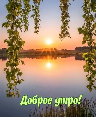 Доброе утро зима природа - фото и картинки: 62 штук