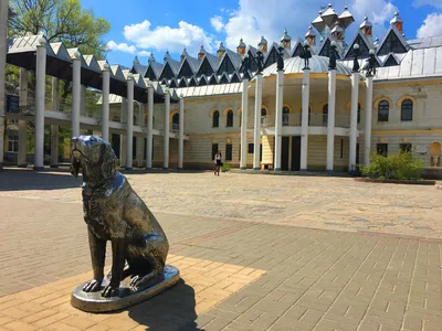 Город Воронеж: климат, экология, районы, экономика, криминал и  достопримечательности | Не сидится