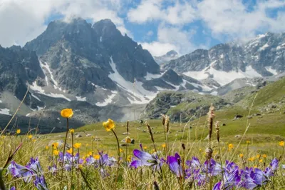 Горный пейзаж. Панорама, Красивые горы под облаками в живописном ущелье.  Дикая природа Северного Кавказа Stock Photo | Adobe Stock