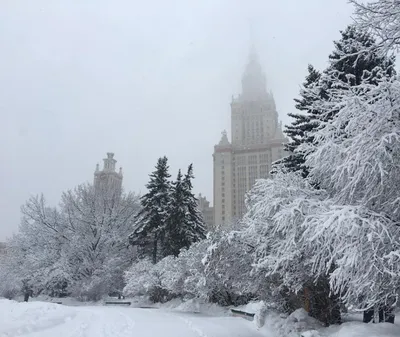 Самые красивые места в Москве зимой. Где можно прогуляться зимой по Москве  | History facts | Дзен