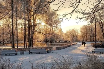 Лучшие катки Москвы и Санкт-Петербурга. Когда открываются и чем удивят |  Ассоциация Туроператоров