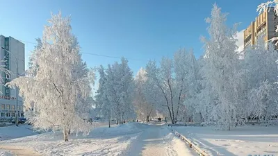 Нижневартовск - город контрастов (35 фото - Нижневартовск, Россия) -  ФотоТерра