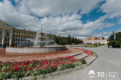 В Томске высадят бегонии, вербены и петонии | 04.04.2023 | Томск -  БезФормата