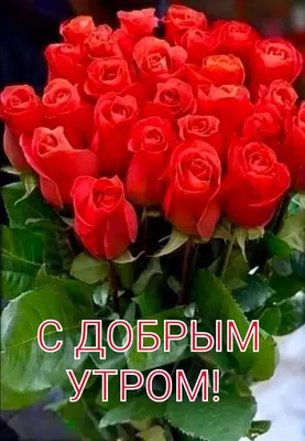 Лаконичная картинка с добрым утром с цветами