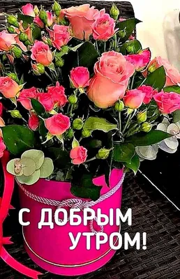 С добрым утром, красивые картинки, пожелания доброго утра, цветы, хорошего  настроения, добрые пожелания, чай, кофе, цветы, ут… | Чайный домик, Доброе  утро, Картинки