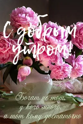 Pin by Светлана on Доброе утро | Rose, Beautiful roses, Exotic flowers