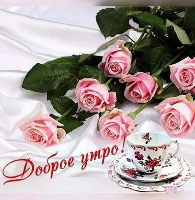 Картинки С добрым утром с цветами 🌹 - скачать (165 шт.)