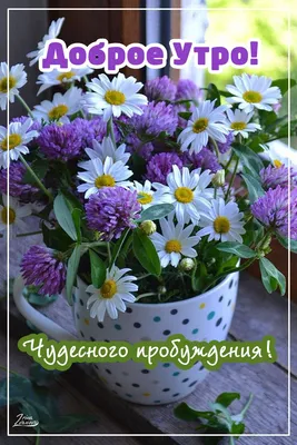 Красивая открытка с добрым утром с цветами и пожеланием