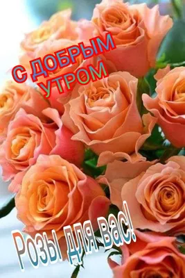 Доброе утро красивые открытки кофе море и цветы любимая любимый эстетика  инстаг… | Flowers instagram, Good morning beautiful pictures, Good morning  greeting cards