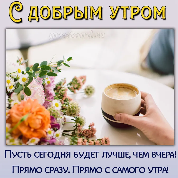 Картинки с добрым утром красивые цветы - 81 фото Картинки с добрым утром красивые цветы - 81 фото