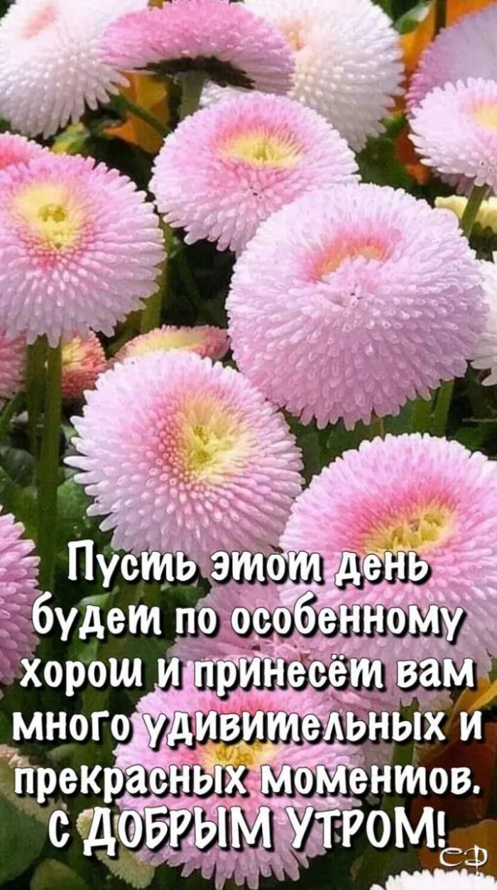 Картинки с добрым утром красивые нежные цветы (67 фото) » Картинки и статусы про окружающий мир вокруг Картинки с добрым утром красивые нежные цветы (67 фото) » Картинки и статусы про окружающий мир вокруг