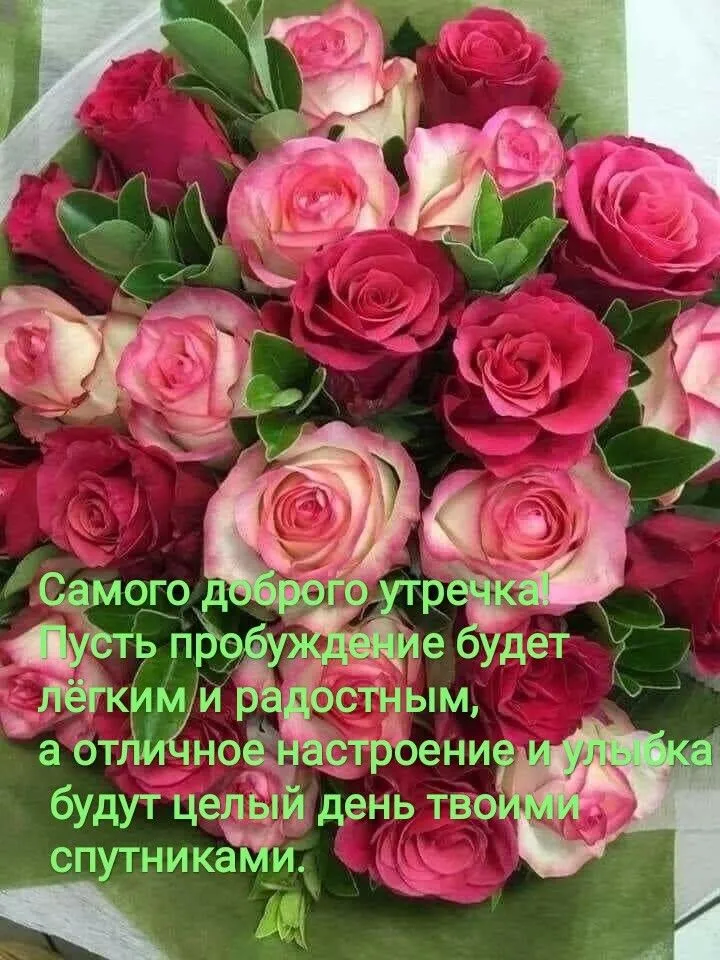 Картинки пожелания доброго утра с розами и надписями (50 картинок) 🌟 Картинки пожелания доброго утра с розами и надписями (50 картинок) 🌟