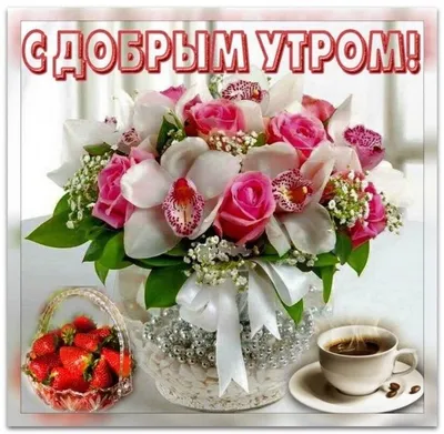 Доброе утро розы - красивые фото