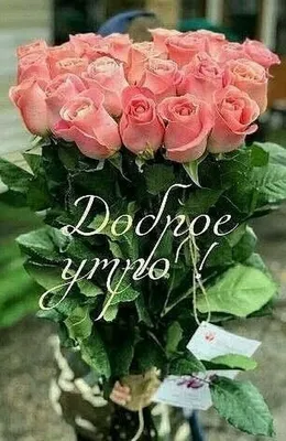 Pin by Лёля Galustyan on Пожелания с добрым утром | Basket flower  arrangements, Beautiful flower arrangements, Beautiful bouquet of flowers